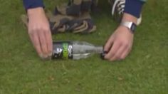 poster-13083-carlsberg-sport-squirrel-236x132