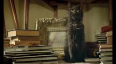 poster-13086-monster-monster-com-legs-236x132