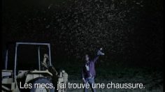 poster-13110-wwf-60-earth-hour-moths-236x132