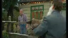 poster-13118-coca-cola-beard-236x132