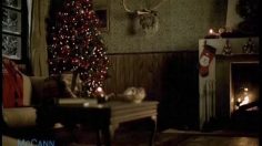 poster-13123-bergenbier-wild-christmas-236x132