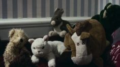 poster-13145-anorexi-bulimi-kontakt-protection-sante-the-mirror-236x132