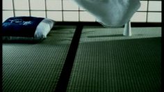 poster-1317-orion-de-towel-236x132