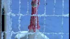 poster-13175-ptt-post-la-dinde-236x132