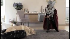 poster-13190-thor-little-thor-236x132