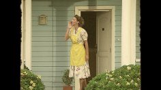 poster-13202-ayudin-liquide-vaisselle-choriflan-236x132