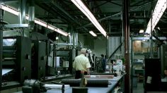 poster-13215-bc-lions-football-club-hand-off-236x132