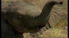 poster-13234-citroen-ecoloreprises-la-toux-236x132