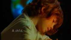 poster-13250-volkswagen-passat-syncro-cat-236x132