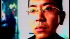 poster-13254-wowow-birdmanback-to-japan-236x132