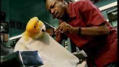 poster-13259-levi-s-sta-prest-denim-barber-236x132