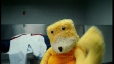 poster-13261-levi-s-sta-prest-denim-guitare-236x132