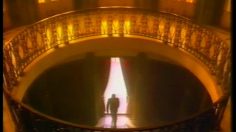 poster-13267-carson-gold-chaussettes-chaussettes-236x132