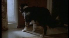 poster-1327-sparbanken-homme-saoul-236x132