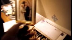 poster-13279-interflora-squeaky-236x132