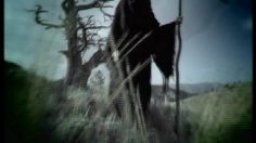 poster-13287-jeep-cherokee-dead-happy-236x132