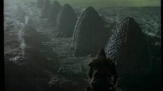 poster-13301-nike-air-180-eclosion-236x132