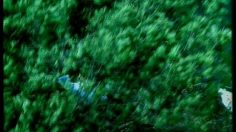 poster-13320-france-telecom-itineris-le-pont-236x132