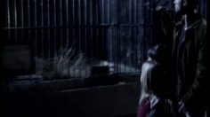 poster-13334-fox-sports-super-bowl-pregame-zoo-236x132