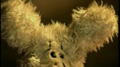 poster-13340-pampers-bebe-peteur-236x132