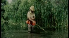 poster-13345-discovery-com-mosquito-236x132