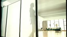 poster-13378-sega-dreamcast-lara-croft-tomb-raider-236x132