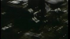 poster-13385-ugc-cinema-de-quartier-236x132