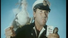 poster-13390-regatt-le-capitaine-236x132