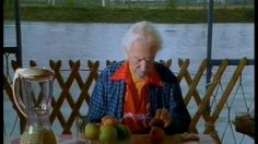 poster-13445-collective-de-la-pomme-le-pepe-sans-dents-236x132