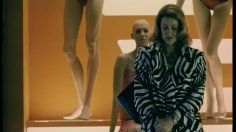 poster-13476-monoprix-fashion-victime-236x132