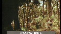 poster-13477-budweiser-bud-ice-aventuriers-236x132