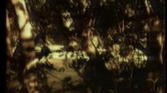 poster-13489-anti-violence-anti-armes-toy-gun-236x132