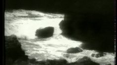 poster-13497-protection-environnement-recyclage-du-verre-message-in-a-bottle-236x132