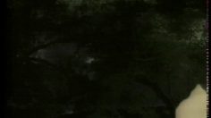 poster-13502-general-motors-ev1-electricite-236x132