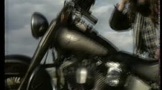 poster-13512-sonata-hyundai-le-pet-236x132