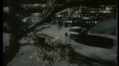 poster-13513-braun-cunilingus-236x132