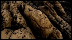 poster-13531-anti-tabac-western-236x132