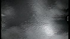 poster-13560-nissan-infiniti-qx4-traces-dans-l-eau-236x132