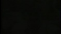 poster-13566-new-t-t-idd-007-les-leaders-236x132