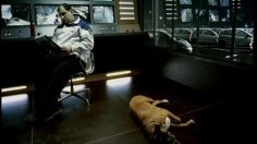 poster-13569-toyota-yaris-le-ballet-236x132