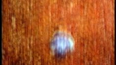 poster-13570-salomon-city-life-236x132