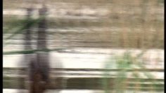 poster-13584-comviq-nature-236x132