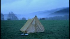 poster-13608-scapino-la-vache-236x132