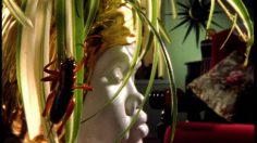 poster-13615-highveld-stereo-94-7-i-will-survive-236x132