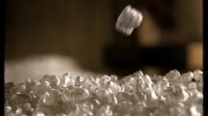 poster-13625-citroen-xsara-claudia-et-le-polystyrene-236x132