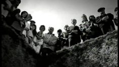 poster-13650-wwf-protection-environnement-mise-en-terre-236x132