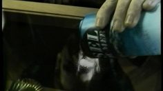 poster-13672-seamply-com-sel-de-mer-236x132