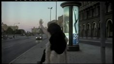 poster-13711-jcdecaux-affiche-stockholm-236x132