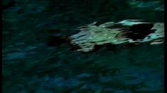 poster-13722-saumon-de-norvege-hommes-saumon-236x132