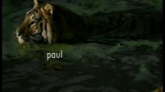 poster-13752-axa-karma-236x132